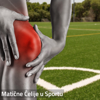 matične ćelije kod sportskih povreda