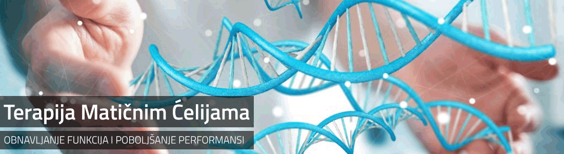maticne celije banner